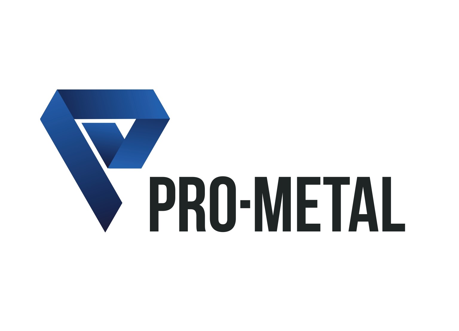 Pro Metal LOGO AJUSTADA